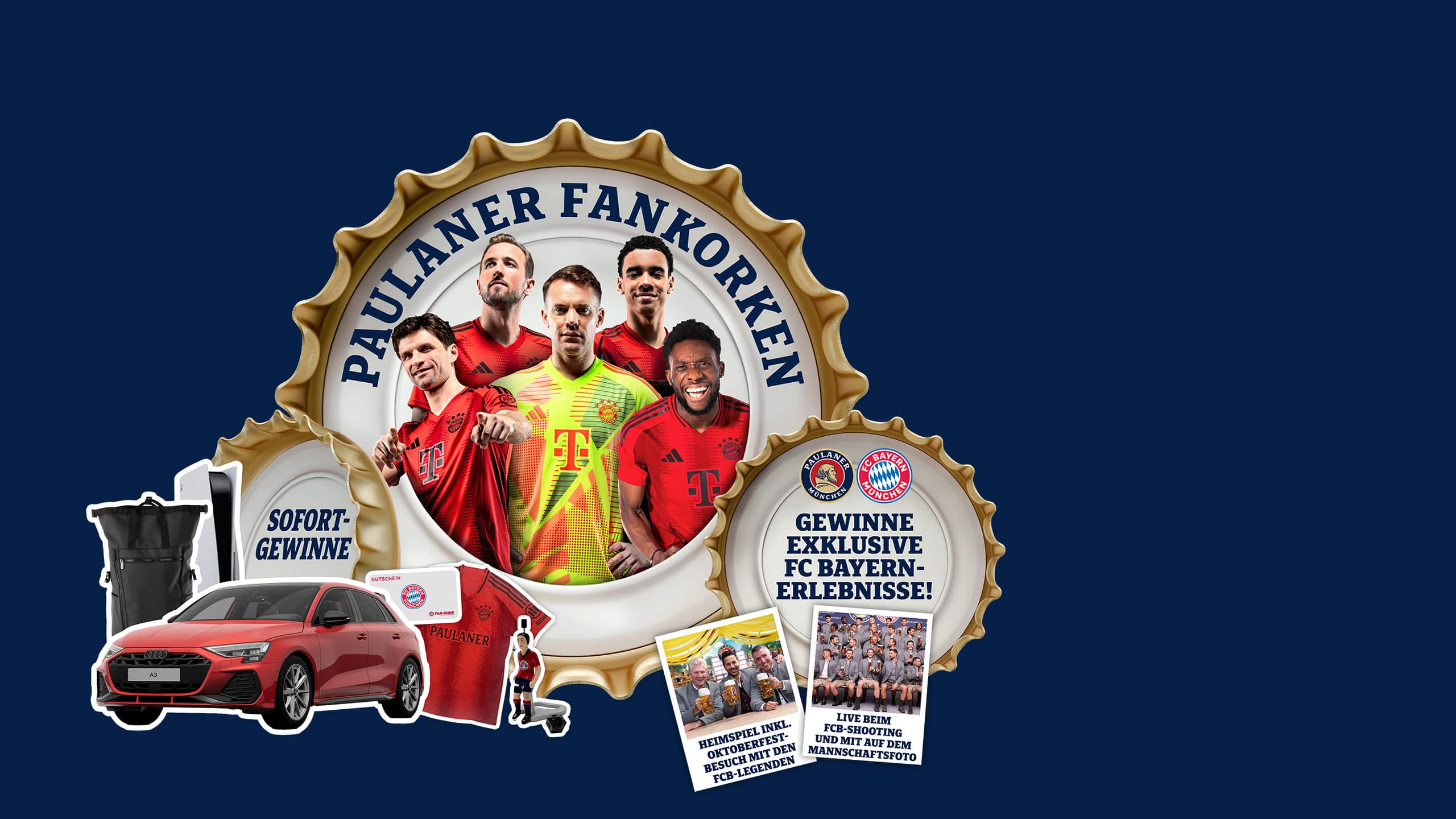 pl fankorken   web