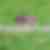 sidebar image fcbm
